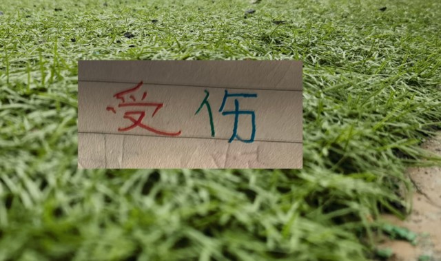 手机老虎机-也是扯平！重庆让了李镇全+阿马杜 申花伤特谢拉 盖伊